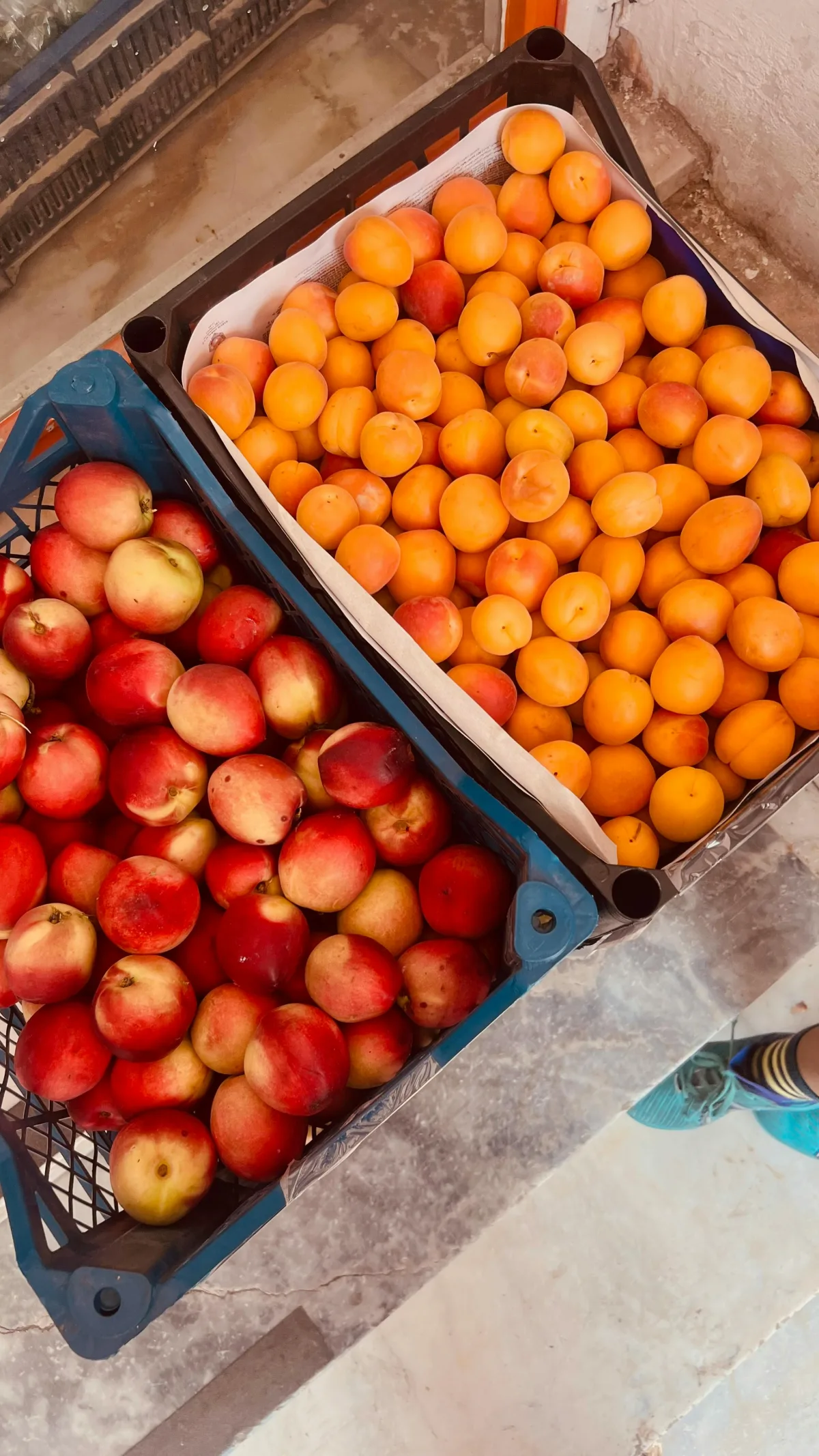 Kisten mit frischem Obst auf einem Marktstand